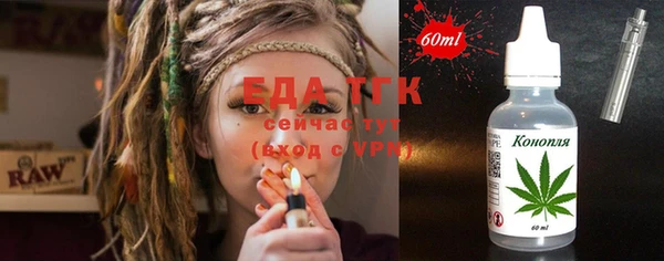 дурь Каменка