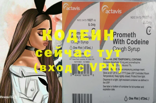 дурь Каменка