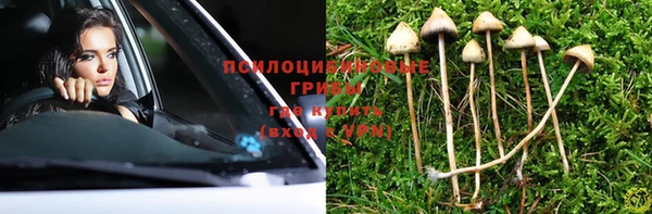 MESCALINE Иннополис