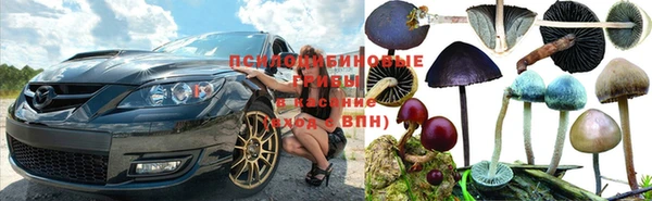MESCALINE Иннополис