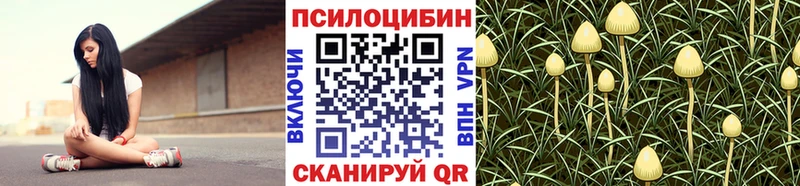 наркошоп Нижний Тагил ссылка на мегу рабочий сайт Псилоцибиновые грибы MAGIC MUSHROOMS