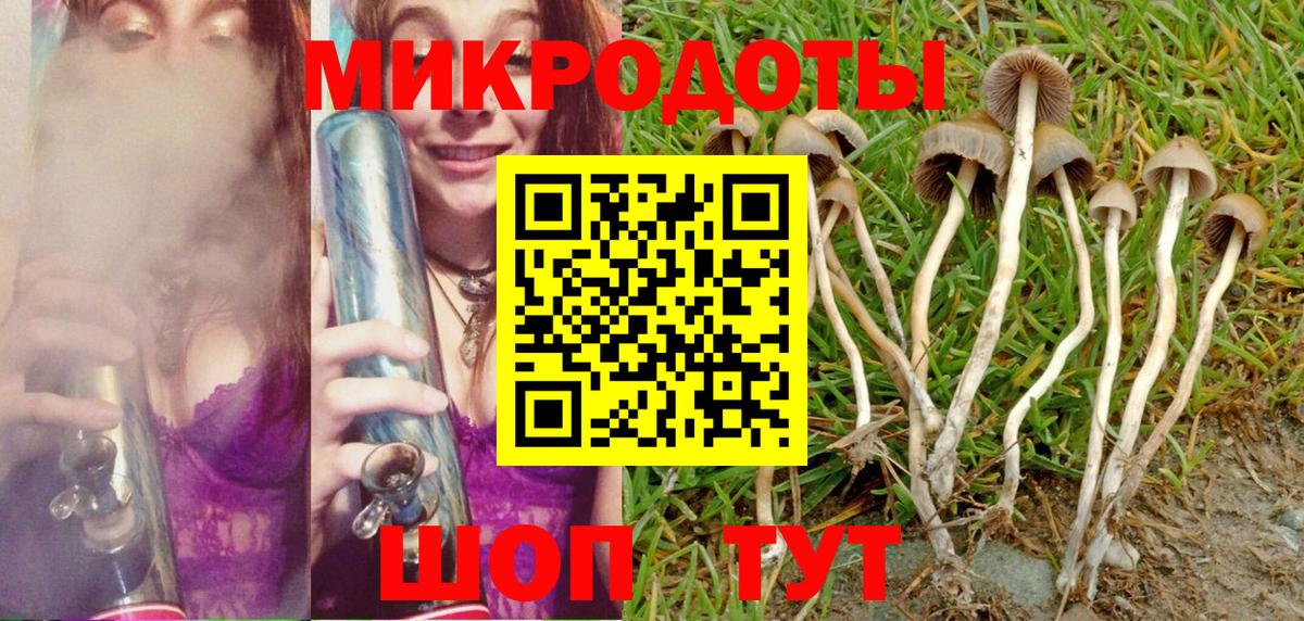Нижний Тагил  Галлюциногенные грибы мицелий  Галлюциногенные грибы прущие грибы  где купить наркотик  Вход с VPN 