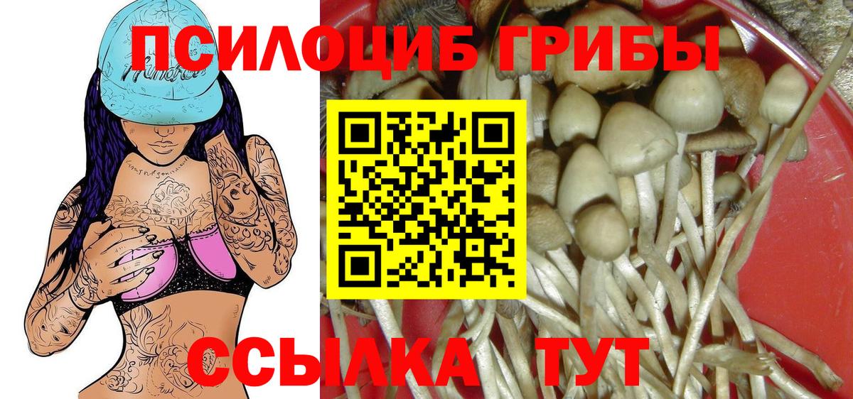 Псилоцибиновые грибы GOLDEN TEACHER Нижний Тагил